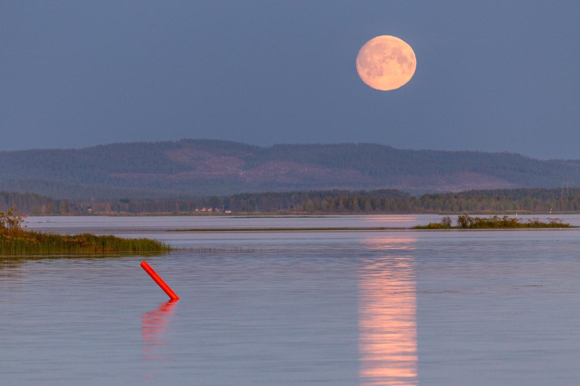Hotel Mestarin Kievari Kemijärvi Dış mekan fotoğraf