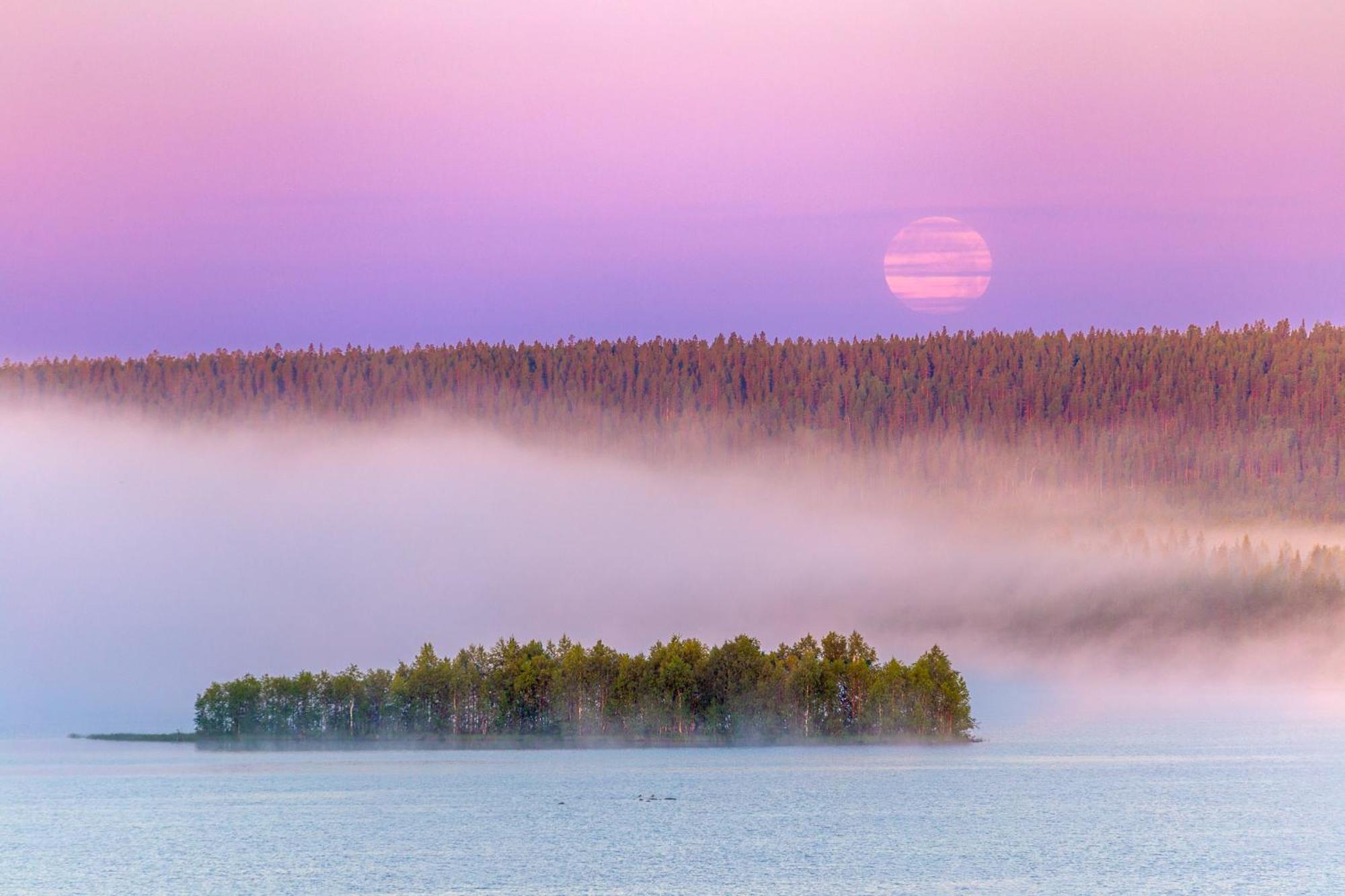 Hotel Mestarin Kievari Kemijärvi Dış mekan fotoğraf